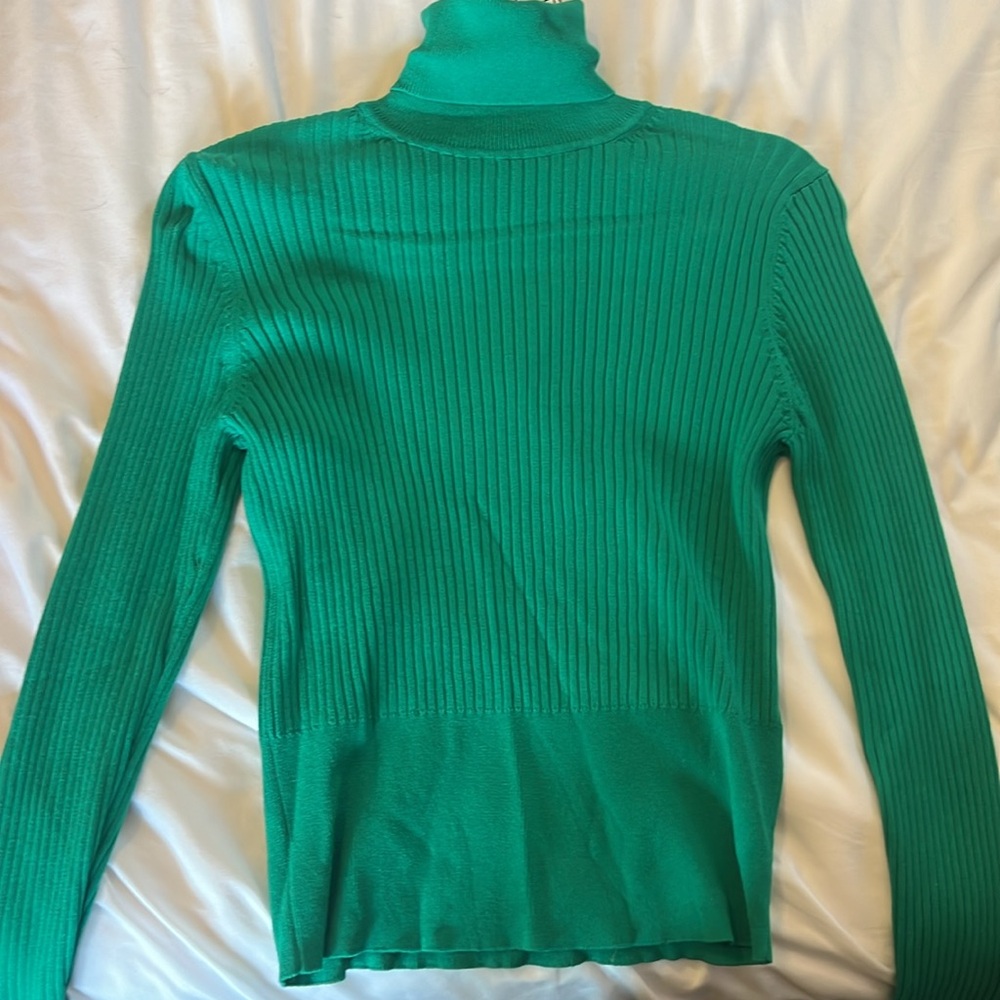 Green Zara turtleneck sweater
